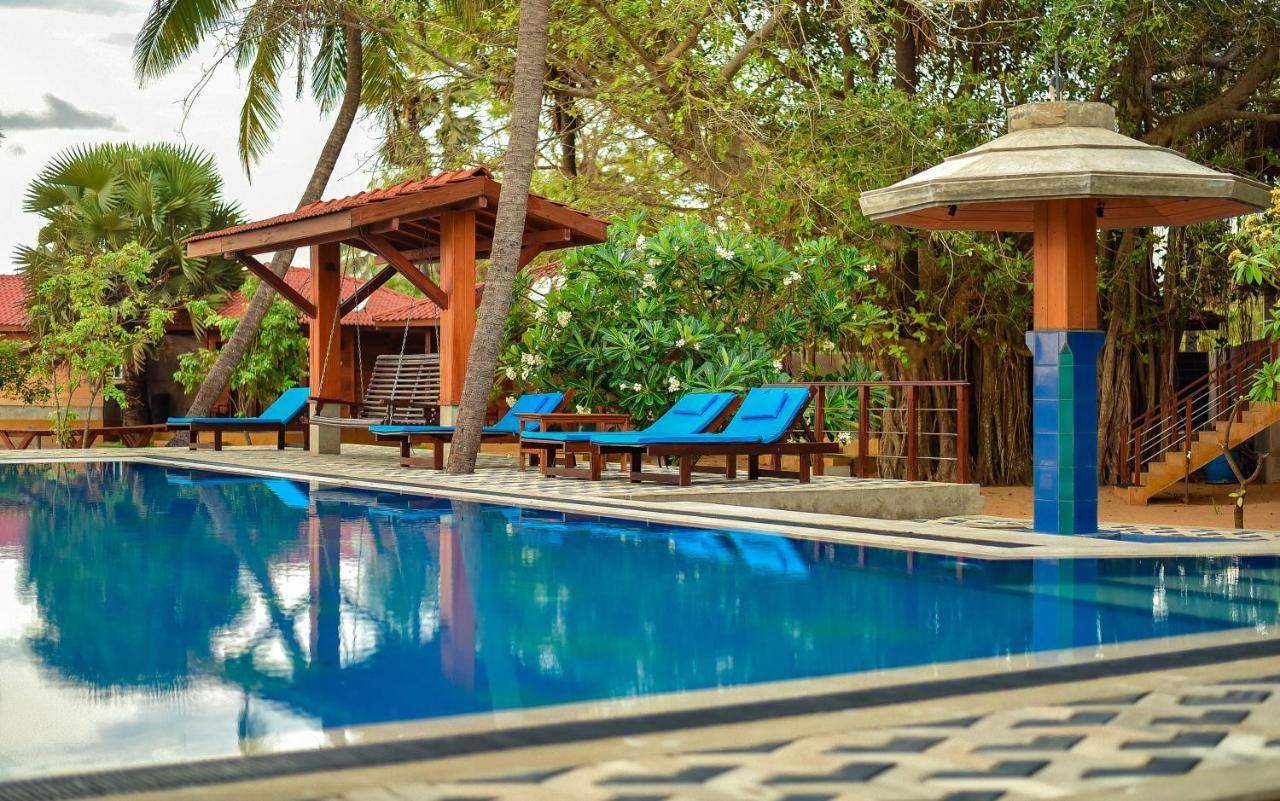 Horizon Kitesurfing Beach Resort Калпития Екстериор снимка